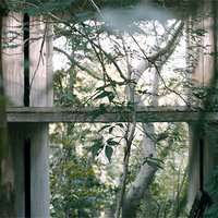 David Hartt: in the forest Reviewed in Architect Magazine